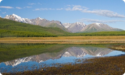 Куркурек