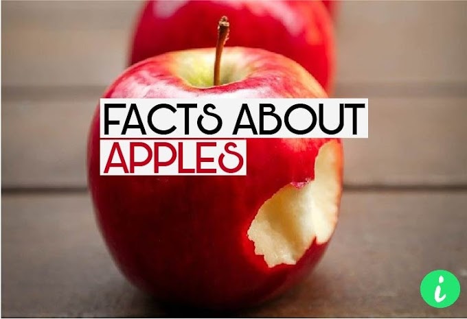 Top 10 Apple Facts | Apple Fun Facts - InfoHifi