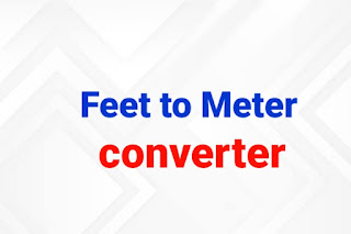 Feet to meter converter