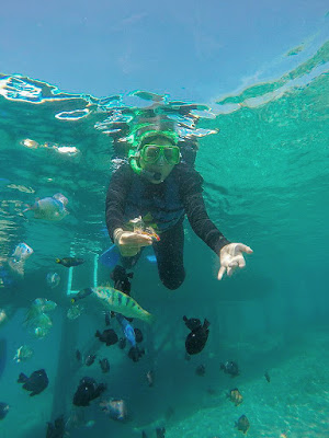 Snorkling Menjangan Bali Barat Banyuwangi