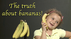 Main website for products, printables and videos.