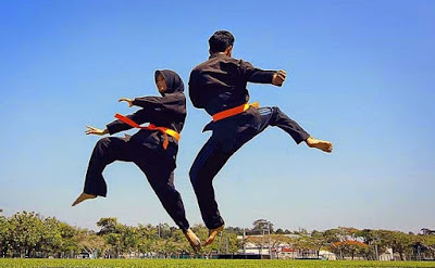 Sejarah Asal Usul dan Perkembangan Pencak Silat