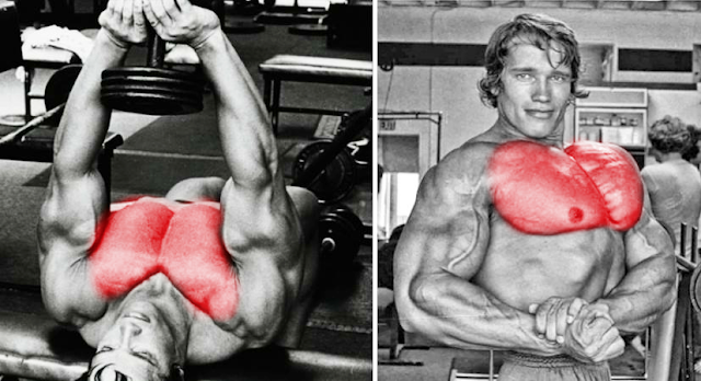 This Exercise Helped Arnold Get His Legendary Chest