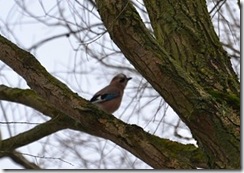 Brandon Marsh D3100  05-02-2012 14-53-15