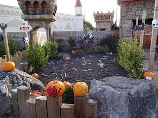 A few of the pumpkins at Southport Pleasureland last Halloween