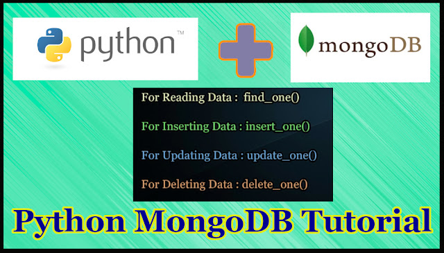 Python MongoDB Tutorial Part 13