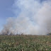 Bomberos juninenses participan de la guerra contra el fuego en la zona de Zárate-Campana