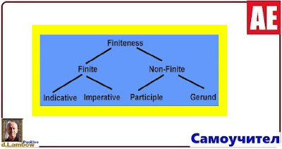 Non-Finite Forms of the Verb