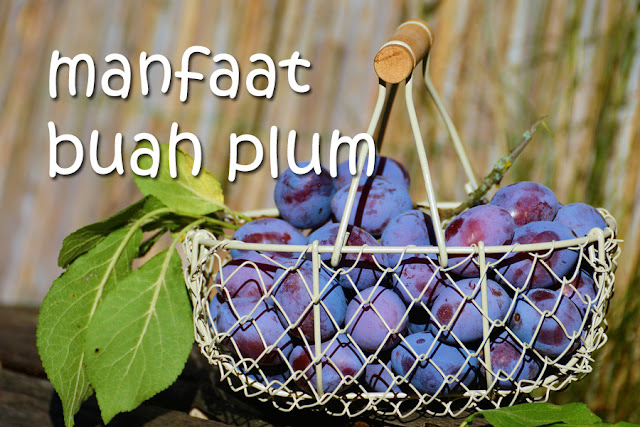 manfaat buah plum