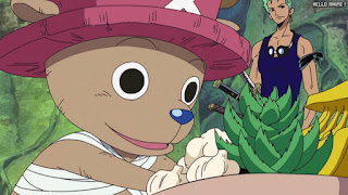 ワンピース アニメ 空島 スカイピア 166話 チョッパー Tony Tony Chopper | ONE PIECE Episode 166 Skypiea