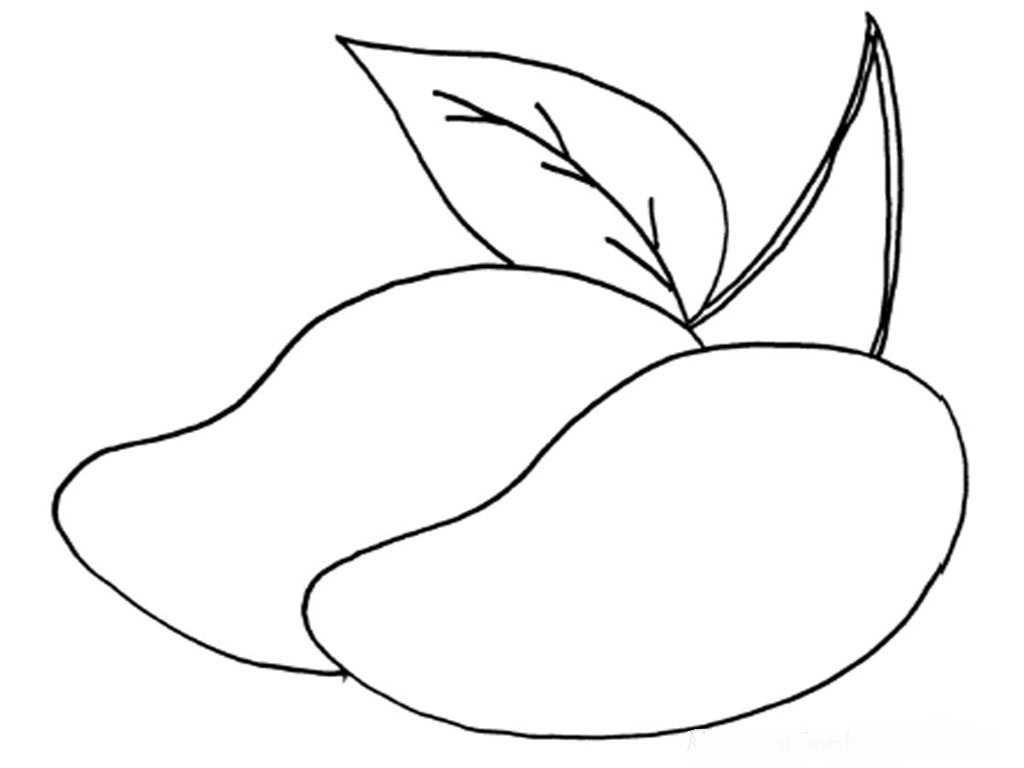 Jenis Bunga Related Keywords - Jenis Bunga Long Tail 