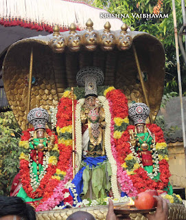 Sri Ranganatha Perumal, Pallava Utsavam, Sri Mannatha Perumal,Thirumanjanam, Purappadu,  Triplicane,  Purappadu, Thiruvallikeni, Utsavam, 