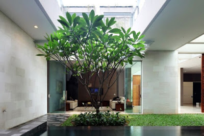 http://greengardenasri.blogspot.com/2019/08/tukang-taman-tubanjasa-taman-rumah.html?m=1