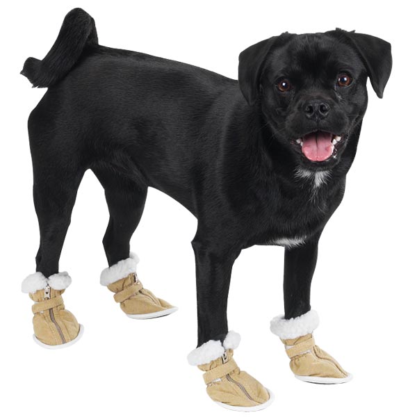 Fashion  Boots For Pic: Boots shoes Dogs dogs for