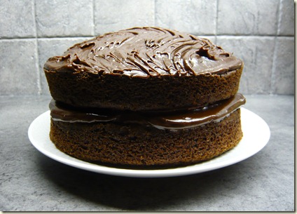 fudge cake1