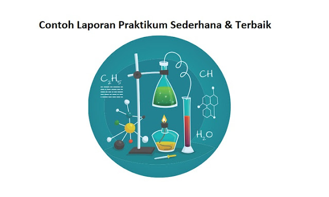 Contoh Laporan Praktikum