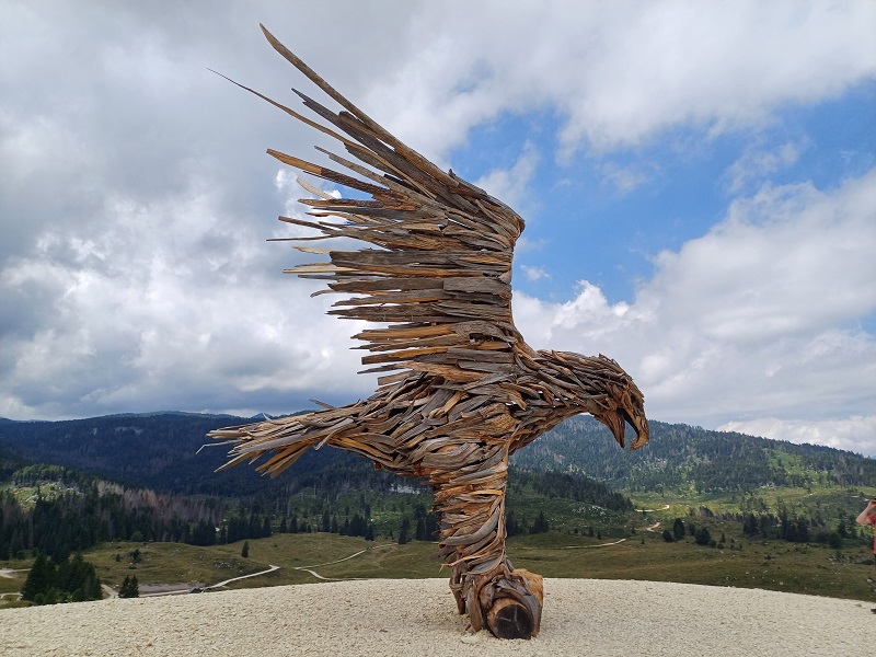 Aquila Vaia di Marcesina