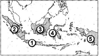 Soal Lat. PAT GEOGRAFI Kelas 11 Th. 2019