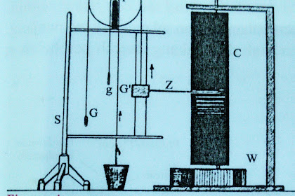The Growth And Development Of Plants