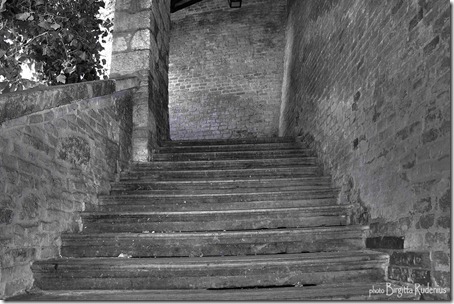 bw_20120912_trappa2