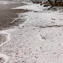 Χανιά: Παραλία "άσπρισε" από το χιόνι - ΒΙΝΤΕΟ