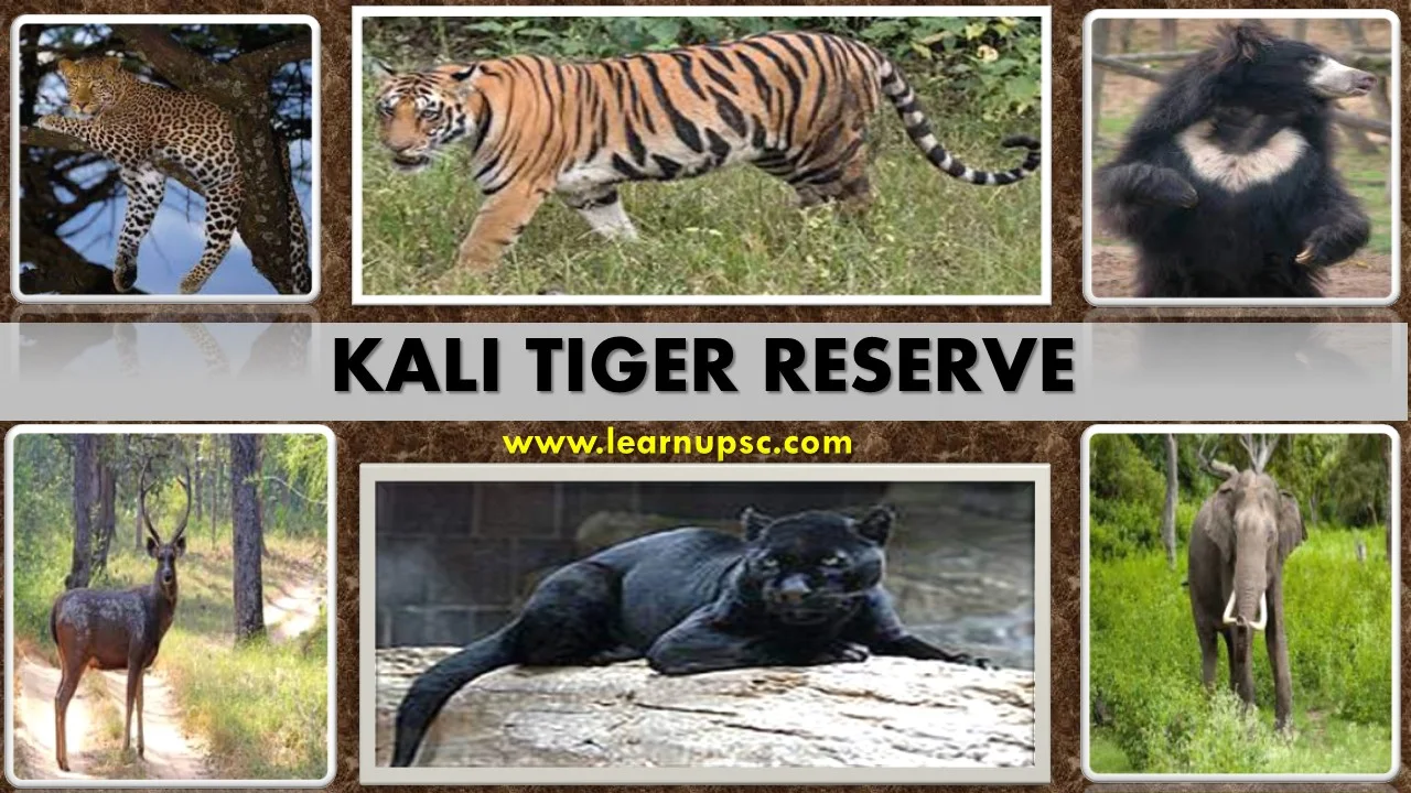Kali Tiger Reserve