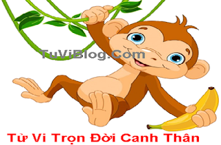 Tử vi trọn đời canh thân