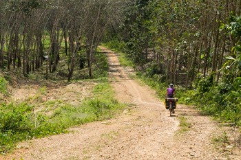 IMG_1072