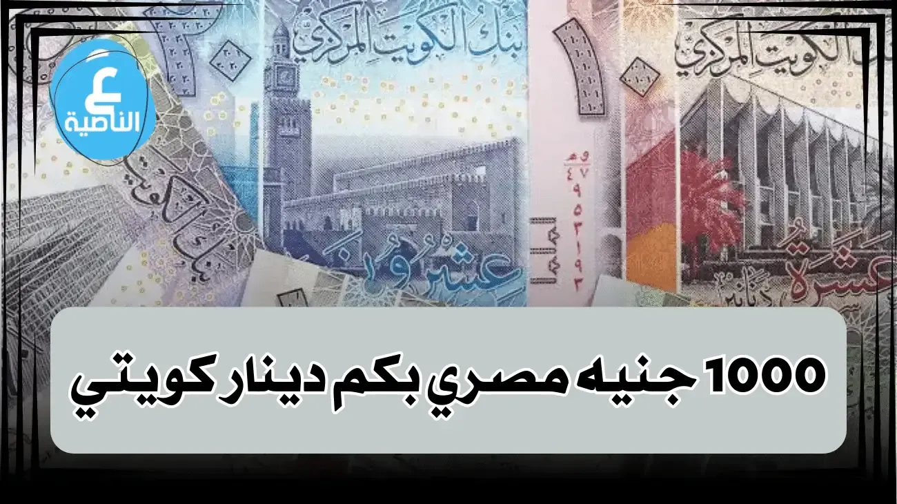 بعد قرار تعويم الجنيه المصري - 1000 جنيه مصري بكم دينار كويتي