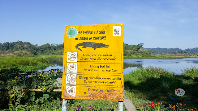 Hiking 5 km vào Bàu Sấu, khu rừng ngập mặn trong rừng Nam Cát Tiên