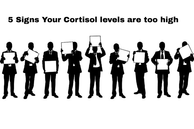 5 Signs Your Cortisol Levels Are Too High edit | Raghukulholidays 