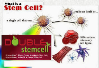 double stemcell testimoni