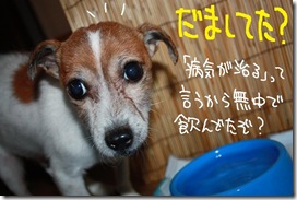 今日カズ１０１１２５　２