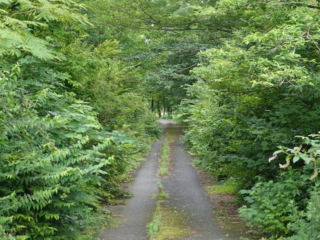 鳥取県道314号赤松大山線　鳥取県西伯郡大山町明間　別荘地