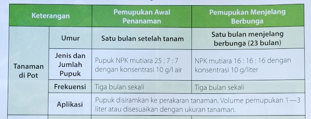 Tabel Panduan Pemupukan Nangka Mini