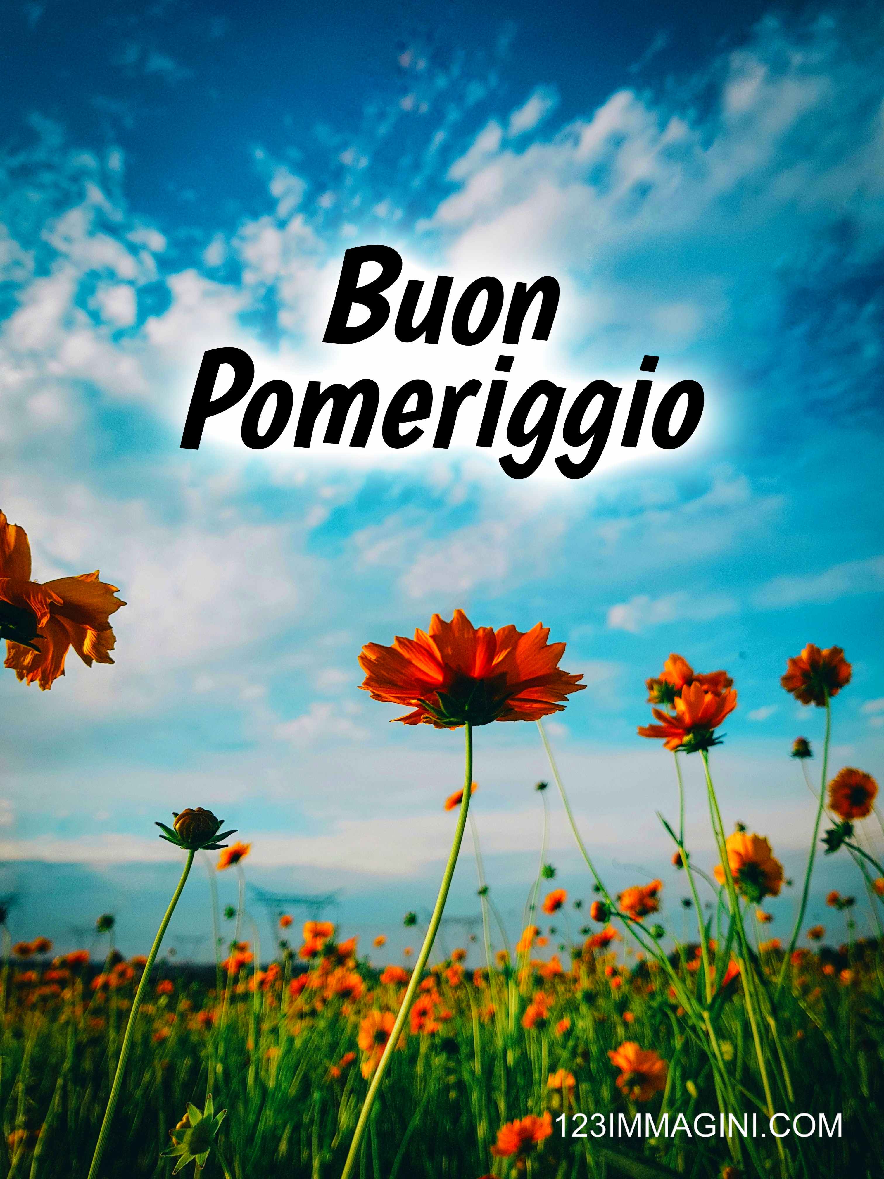 Buon Pomeriggio immagini Bellissime Gratis - 123immagini.com