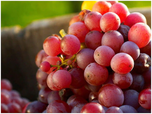 red-grapes-makes-the-body