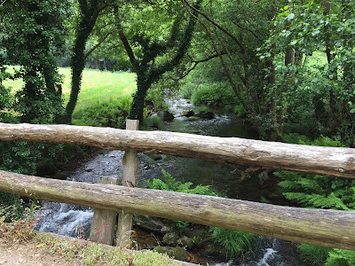 Spain, Marronda forest and the Eo River   by E.V.Pita (2015)  http://evpita.blogspot.com/2015/06/spain-marronda-forest-and-eo-river.html   Fraga de Marronda - río Eo (Baleira, Lugo)  por E.V.Pita (2015)