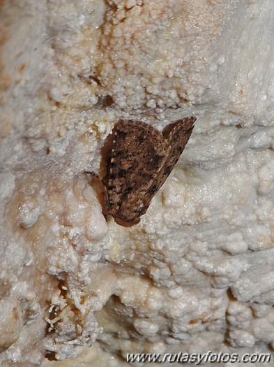 Cueva de la Fuensanta