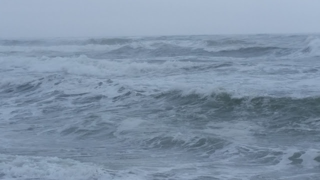 Wordless Wednesday:  Cape Cod 2015 Pictures --Marconi Beach -- How Did I Get Here? My Amazing Genealogy Journey