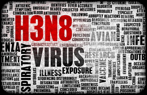 China relata primeira infecção humana por gripe aviária H3N8 do mundo