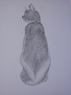 Sketch of a cat with her back to me