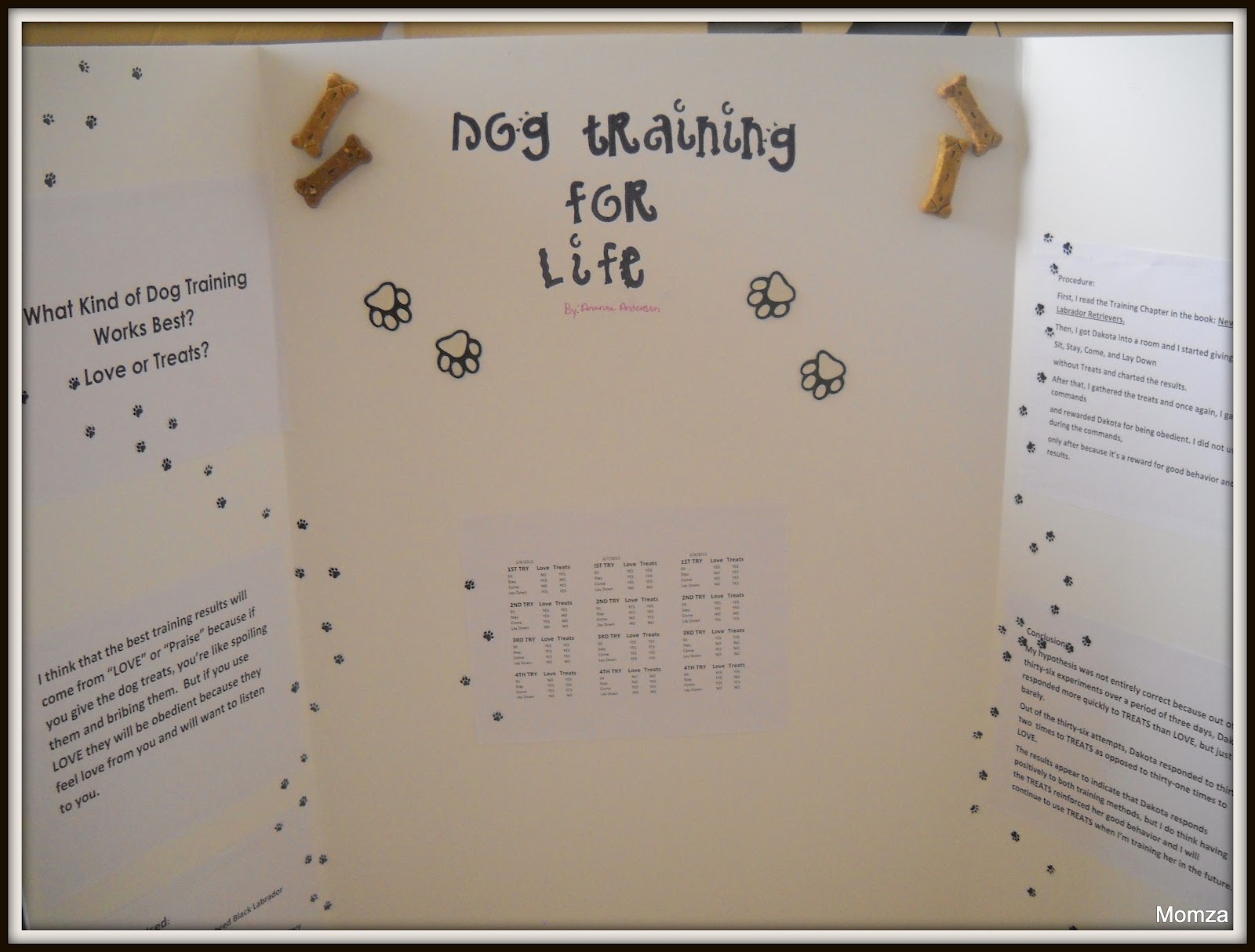 5th Grade Science Fair Project Ideas