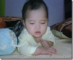 IMG00340-20110413-0852