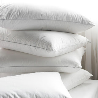  Goose Down Pillow