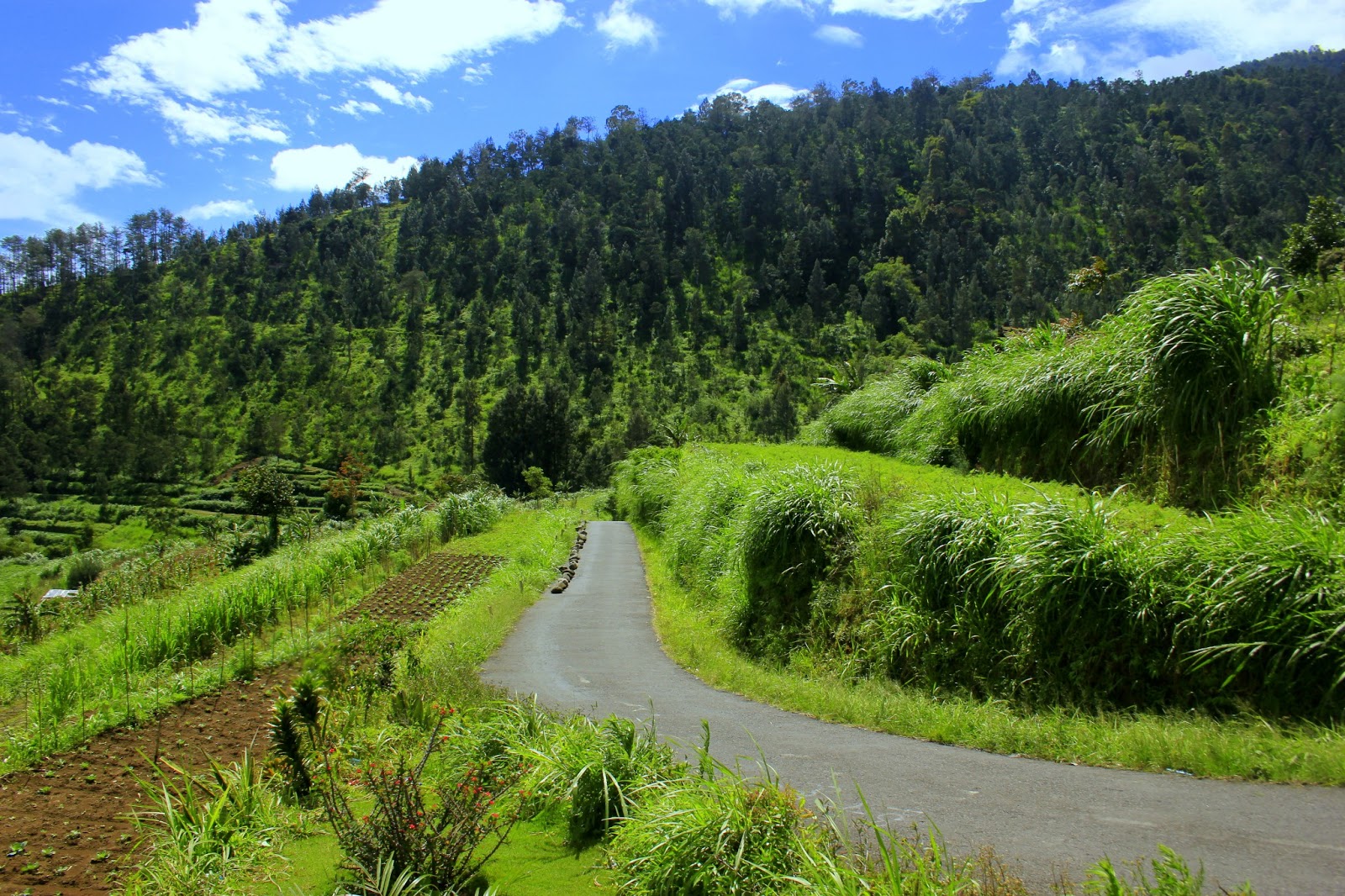 Lukisan Pemandangan Alam Air Terjun - Koleksi Gambar HD