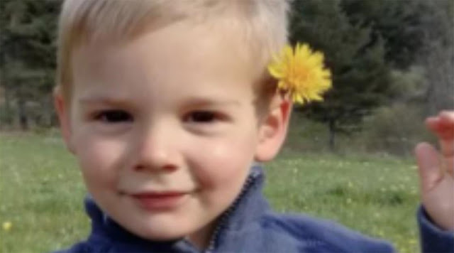 Emile Soleil,Émile Soleil, French Alps, missing toddler, partial remains, French authorities,France Europe ,news