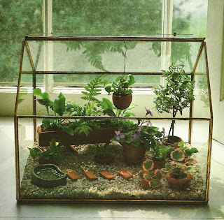 Terrariums and Victorian Wardian Cases