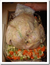 turkey3