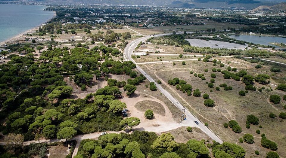 Δασικοί χάρτες: Ιδιοκτησιακές ρυθμίσεις για τις δασικού και χορτολιβαδικού χαρακτήρα 